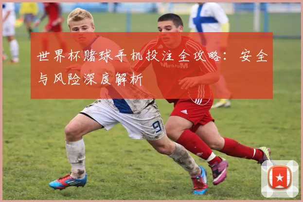 世界杯赌球手机投注全攻略:安全与风险深度解析