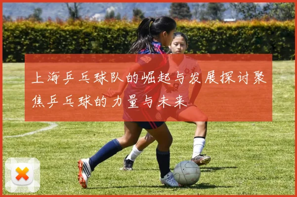 上海乒乓球队的崛起与发展探讨聚焦乒乓球的力量与未来