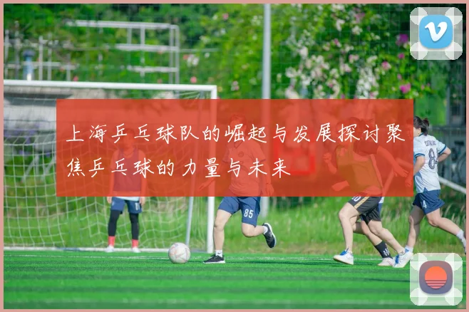 上海乒乓球队的崛起与发展探讨聚焦乒乓球的力量与未来