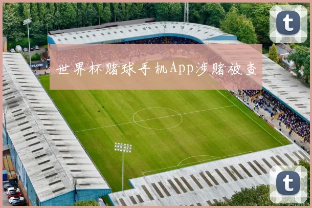 世界杯赌球手机App涉赌被查